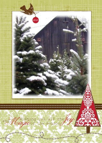 Thorntons' Treeland: farm photo