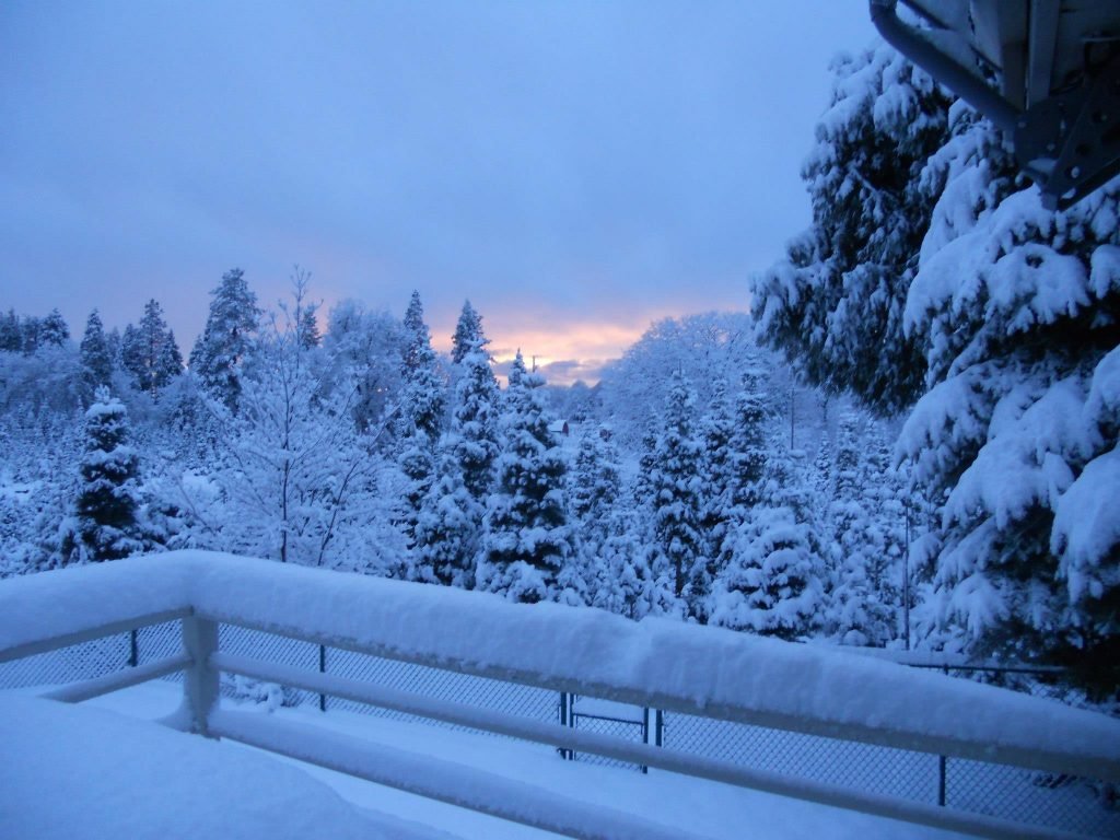 Carson Ridge Evergreens: farm photo