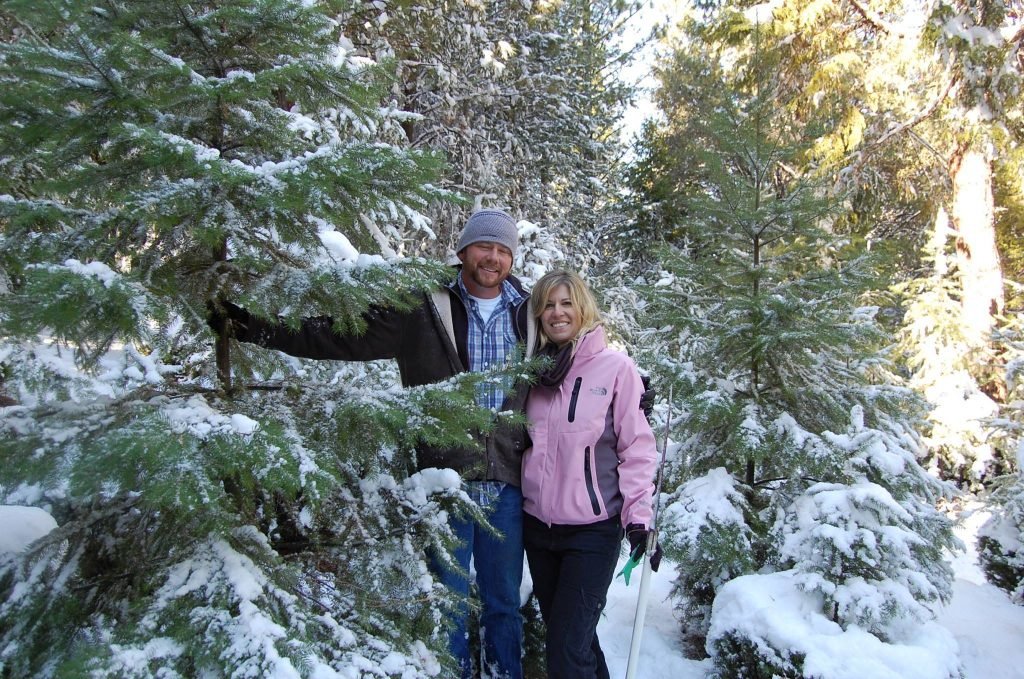 North Star Tree Farm: farm photo