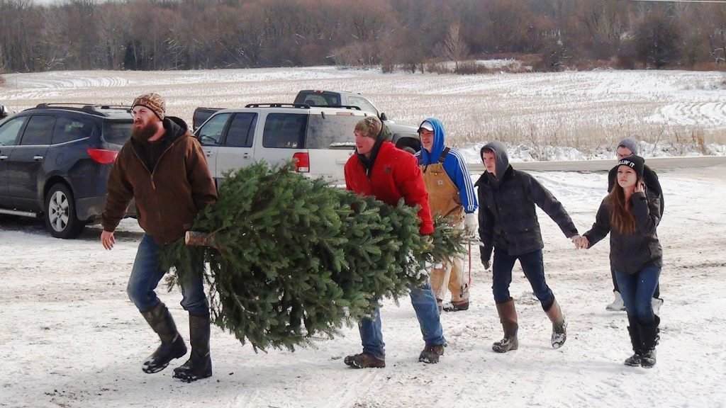 Beckwith Family Christmas Trees & Wreaths: farm photo