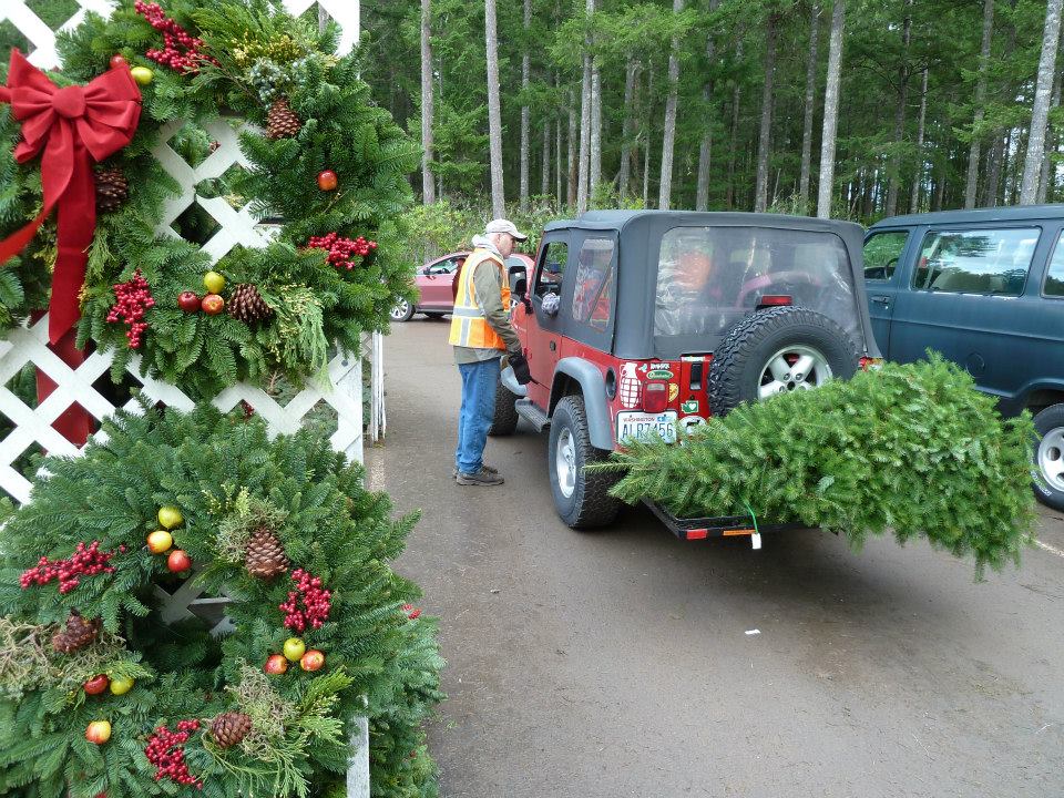 Hubert's Christmas Trees: farm photo