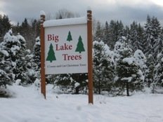Big Lake Trees: farm photo