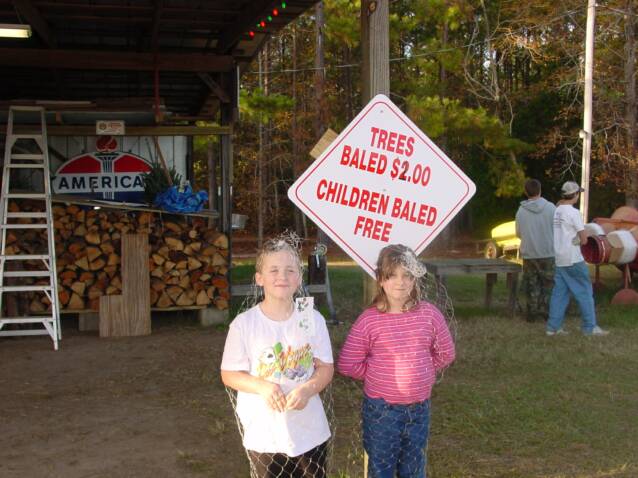 Wadsworth Christmas Tree Farm: farm photo