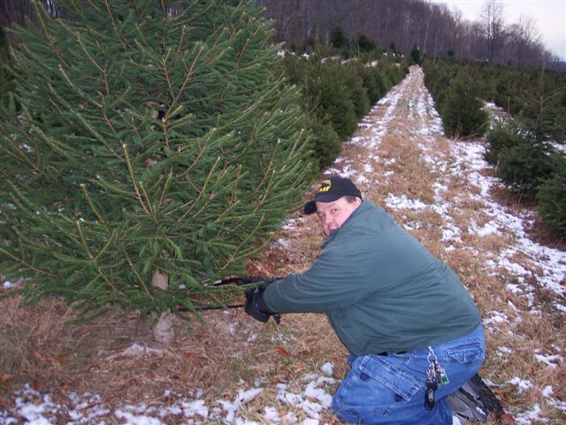 Abel's Trees: farm photo