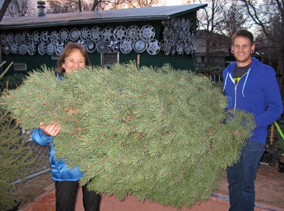 Your Neighborhood Christmas Tree Farm: farm photo