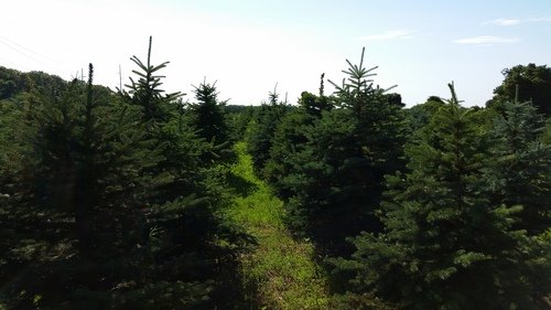 Baiting Hollow Nursery: farm photo