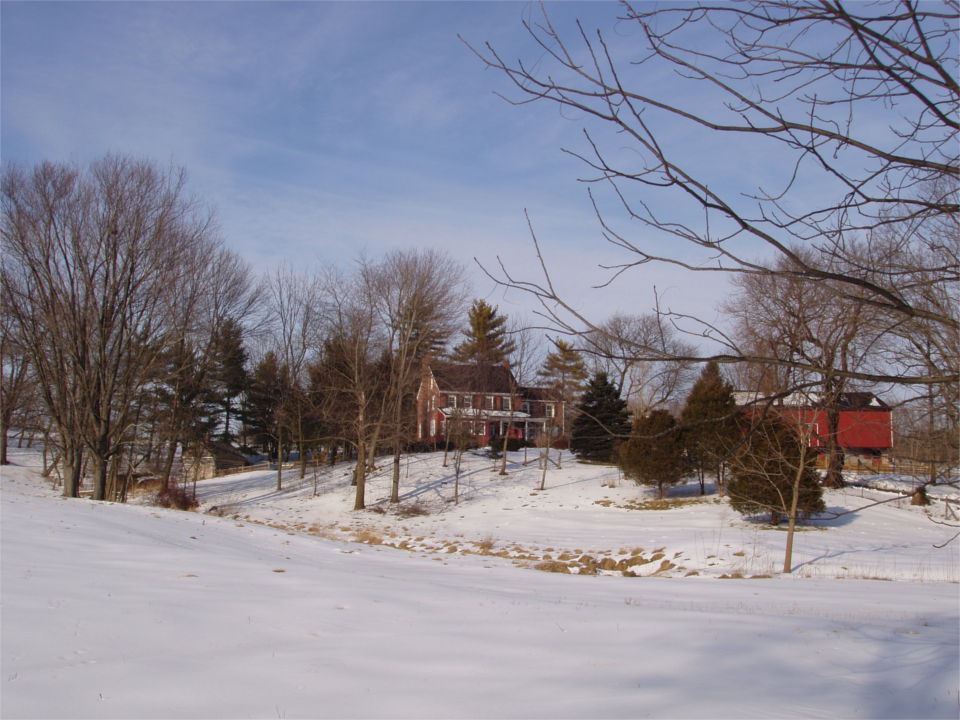 Abe's Tree Farm: farm photo