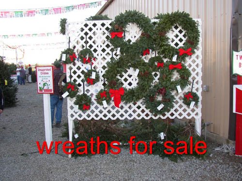 Battaglia Ranch Christmas Tree Farm: farm photo