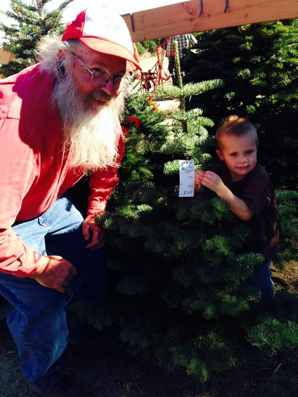 Santa Paula Christmas Tree Farm: farm photo
