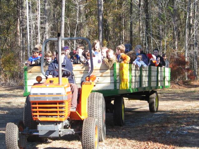 Wadsworth Christmas Tree Farm: farm photo