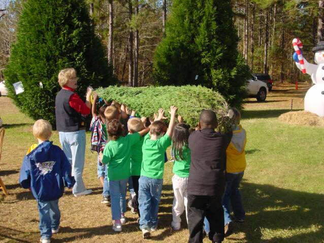 Wadsworth Christmas Tree Farm: farm photo