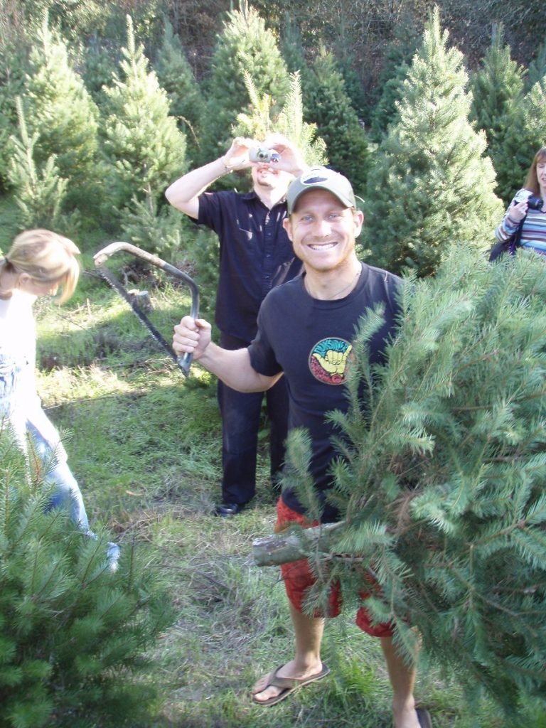 Castro Valley Christmas Tree Farm: farm photo