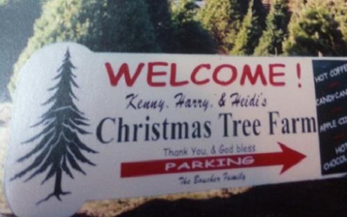 Kenny, Harry & Heidi's Tree Farm: farm photo