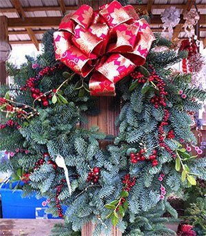 Motley's Christmas Tree Farm: farm photo