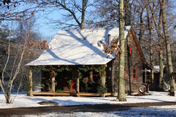 Charlie Brown's Christmas Tree Farm - Call now: 8602678880 Aresco Family. 167 Wopowog Road East Hampton 06424 CT
