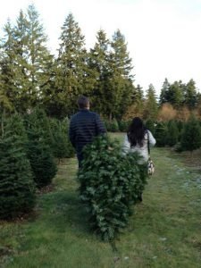 Double Four Tree Farm - Call now: 253-535-9267 . 4217 72nd Street East Tacoma 98443 WA