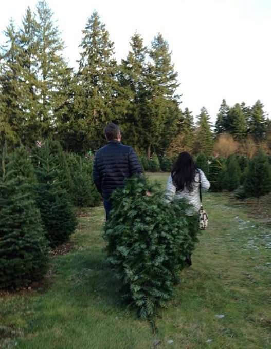 Double Four Tree Farm - Call now: 253-535-9267 . 4217 72nd Street East Tacoma 98443 WA