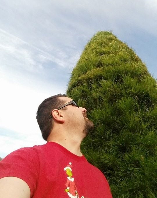 Paradise Christmas Tree Farm - Call now: 4087792946 . 15220 Yvonne Drive Morgan Hill 95037 CA