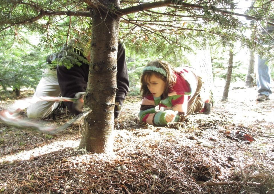 Mountain Creek Christmas Tree Farm - Call now: 425-888-1770 Marilyn. 6821 440th Ave SE Snoqualmie 98065 WA