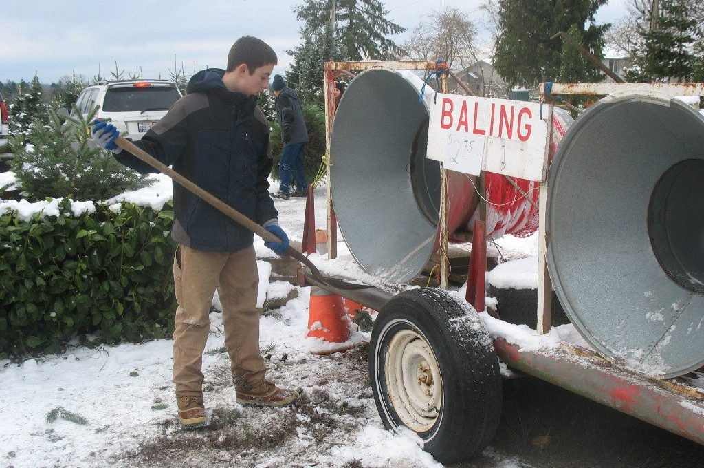 Pfaff's U-cut Christmas Trees - Call now: 253-852-8244 . 29204 124th Ave SE Auburn 98092 WA