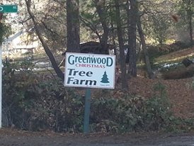 Greenwood Christmas Tree Farm - Call now: 5303334970 . 2465 Syd Rd Greenwood 95365 CA