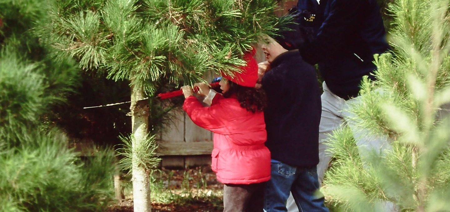 Larsen's Christmas Tree Farms - Call now: 7077626317 . 391 Marshall Ave Petaluma 94952 CA