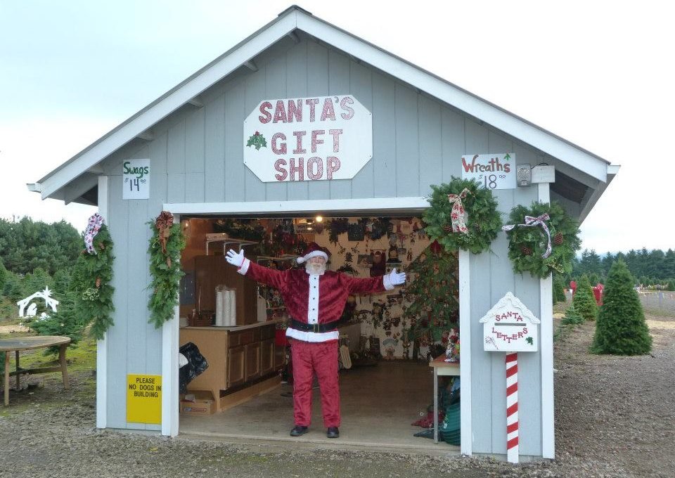 Larwick U-cut Christmas Tree Farm - Call now: 360-256-7142 Jane Larwick. 12605 NE 132nd Ave Brush Prairie 98606 WA