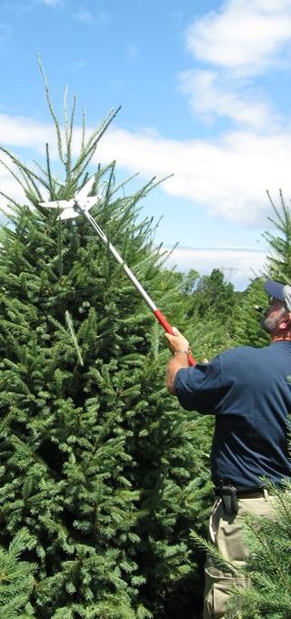 Abraczinskas Nurseries Inc. - Call now: 5703562323 Peter Abraczinskas. 346 Numidia Drive Catawissa 17820 PA
