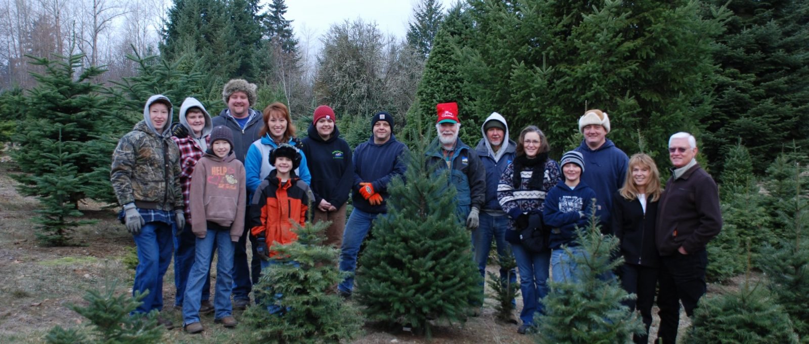 Wilson Hill Tree Farm & Nursery - Call now: 425-432-2805 . 20241 Southeast 232nd Street Maple Valley 98038 WA