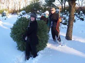 Belly Acres Christmas Tree Farm - Call now: 8566940350 Charles & Eileen Rauchfuss.  665 Royal Avenue 8322 Franklin  NJ