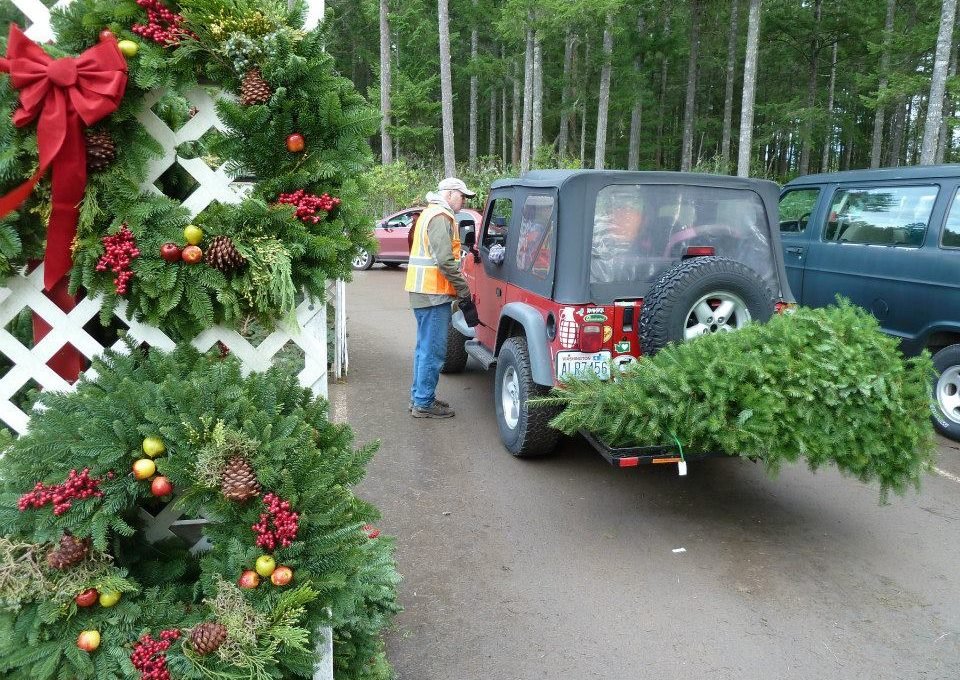 Hubert's Christmas Trees - Call now: 360-981-5554 Randy Billick. 4635 Seabeck Hwy NW Bremerton 98312 WA