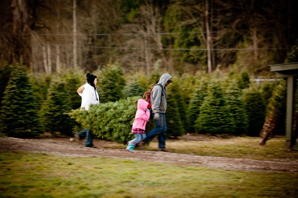 Coates Christmas Trees - 98092 Auburn 17225 SE Green Valley Rd