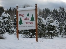 Big Lake Trees - Call now: 3604225124 . 19117 State Route 9 Mount Vernon 98274 WA