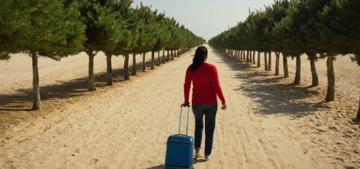 How Early to Visit a Christmas Tree Farm Without Losing Freshness by Christmas travel planning visual