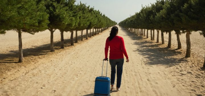 How Early to Visit a Christmas Tree Farm Without Losing Freshness by Christmas travel planning visual